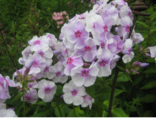 ����������� ���������1.JPG