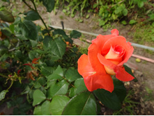 �� ������