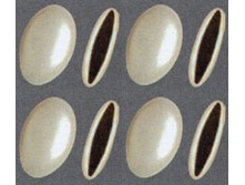 ������������� ����� �����, ������ �������