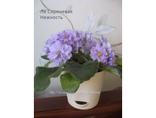 �� ��������� ��������