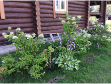 ������ ������.