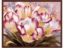 GL6494 ��������.jpg