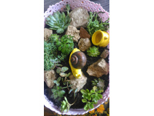 P 20160727 114401 1 p.jpg