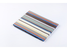 Hollan ��������.JPG