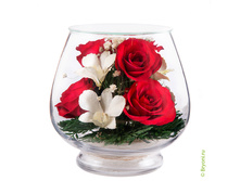 ���������� �� ������� ��� � �������(���. LSM1) - 1954 ���+%.jpeg