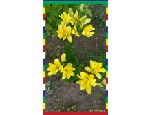 P 20160717 191542 1 p 1.jpg