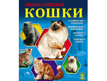 Znaniya sila. koshki.jpg