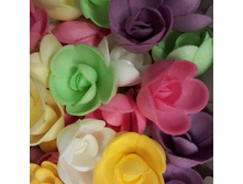 ����� ��� ����� 13*071*RA "������� ����"