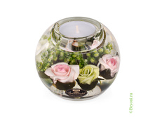 ���������� ���������� ��� (���. 70966) - 667 ���+%.jpeg