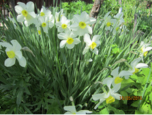 ������� 30 ���