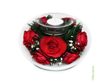 ���������� �� ������� ���, ���������� (���. CaMR) (CdMR) - 2548 ���+%.jpeg