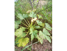 �������)