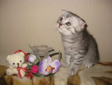IMG 0339.JPG