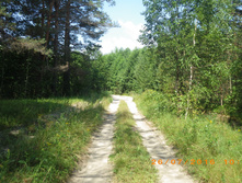 224.JPG
