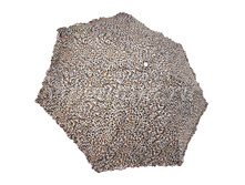 Zont-zhenskiy-115-diniya-3-slozh-s-a-pondzh 2.jpg