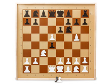 ���������������� ������� ���������, ���. 01756, 2500+%.jpeg