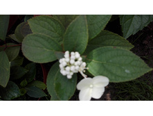 IMG 20160723 123251.jpg