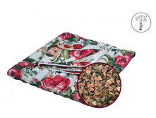 ������� �� ����.jpg