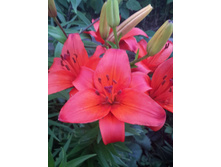 13590232 1450083908350511 2655293688438401202 n.jpg