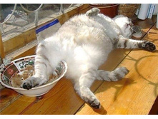 ��� ������ � ���� - ��� ������ � ������