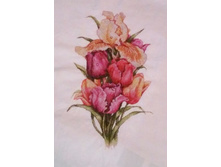 ����� ����. 40*23 ��.