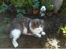 IMG 20160719 155346.jpg