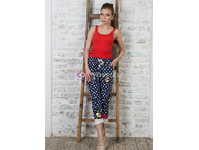 ����� � ����������� 8817 ����������.jpg