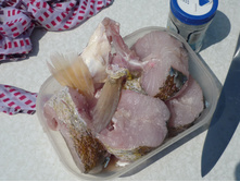 P1230324.JPG