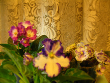 IMG 4939.JPG