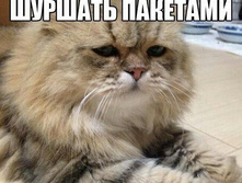 � ���� ������ �� ��������, ������� � ������� �������� ... �� �ݣ �� ����