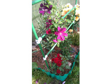 ������� (24).JPG