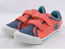 ���� ������������ (��������-�������)