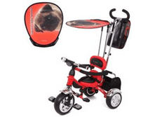 ���������  3-���. �������