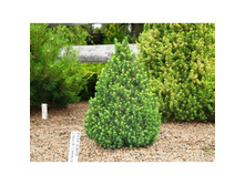 ��� ��������� ������ 2-3 ���� ������ 30�� 420���.jpg