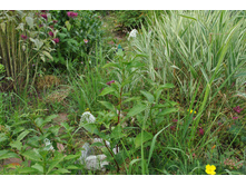 ��������� ������������