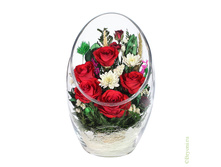 ���������� �� ����������� ��� (ArMR1) - 2669 ���+%.jpeg