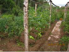 �������� 021.jpg