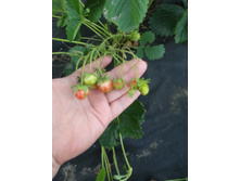 IMG 20160704 151808.jpg