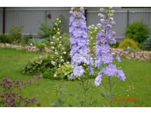 �������. �����������