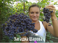 �������� ������� ������ 160���..jpg