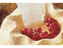 ������� ����� "������ �������"