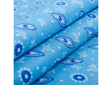 ���� �������� �������