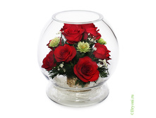 ���������� �� ����������� ��� (MMR1) - 3143 ���+%.jpeg