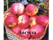 ������ ������� 3-����� ������ �� 2�, ������ 10� 650���..jpg