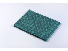 Income ��������.jpg