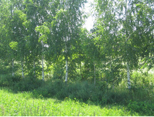 ���� 036.jpg