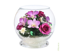 ���������� �� ����������� ��� � ������� (MLM3) - 4041 ���+%.jpeg