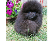 ������� 005.JPG