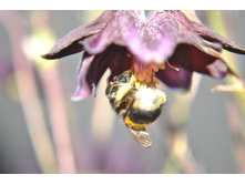 ��������� � �����