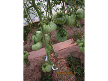 �������� ������